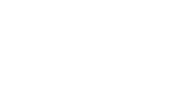 White General Dynamics logo