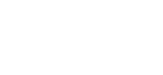White Guidehouse logo