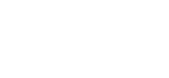 White Leonardo DRS logo