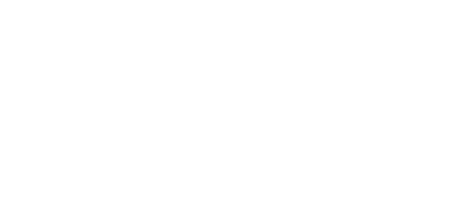 White Northrop Grumman logo