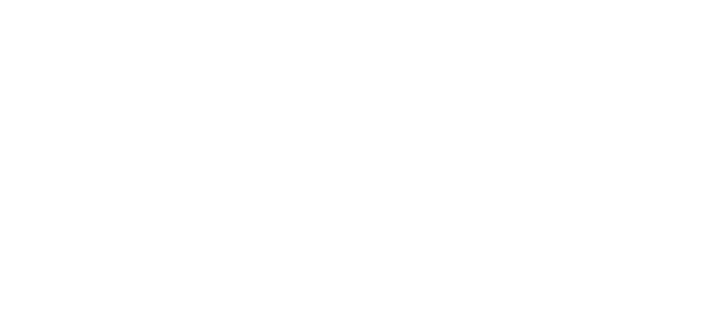 White Salesforce logo