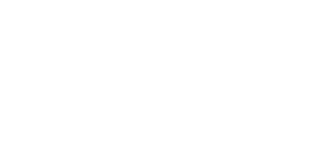 White Transportation Security Administration logo