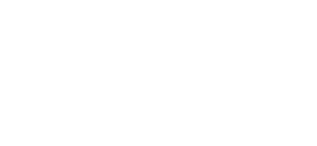 White USAID logo